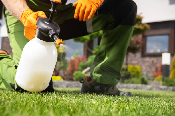 Basin, WY Pest Control Pros