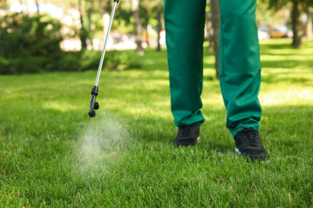 Best Pest Inspection Near Me  in Basin, WY