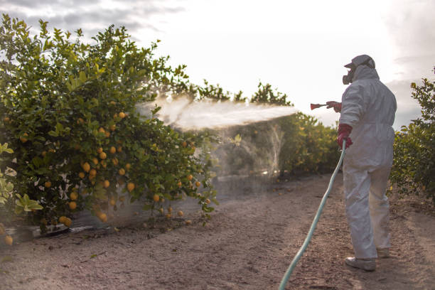 Best Residential Pest Control  in Basin, WY