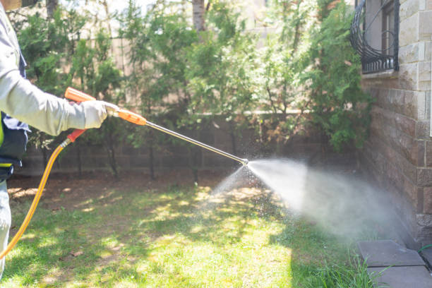 Best Termite Control Services  in Basin, WY