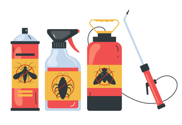 Best Termite Control Services  in Basin, WY