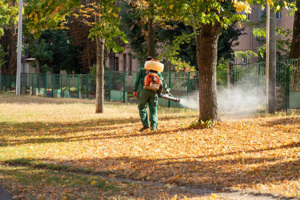 Reliable Basin, WY Pest Control Solutions