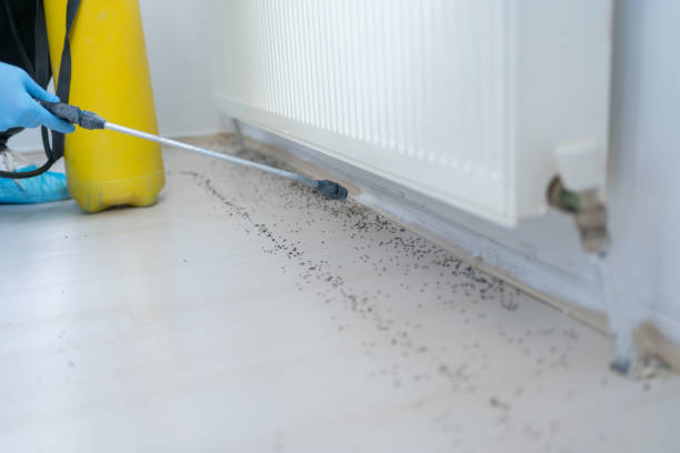 Best Affordable Pest Control Services  in Basin, WY
