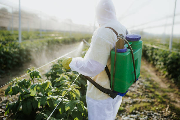 Best Wildlife Control Services  in Basin, WY
